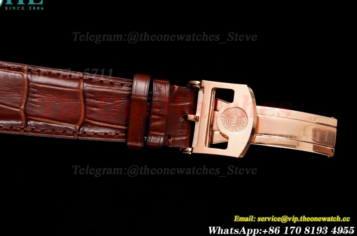 RG Dial Calendar Perpetual LE Portugieser 5033 42mm White APSF A52010 0125